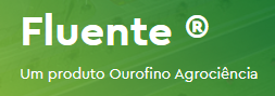 Fluente